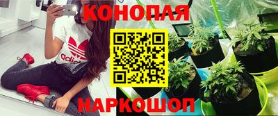 гашишное масло Будённовск