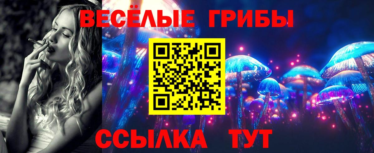 Галлюциногенные грибы прущие грибы  Вход с VPN  Ливны 